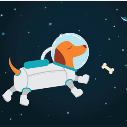 Space Dog Bed Sheet Single bed