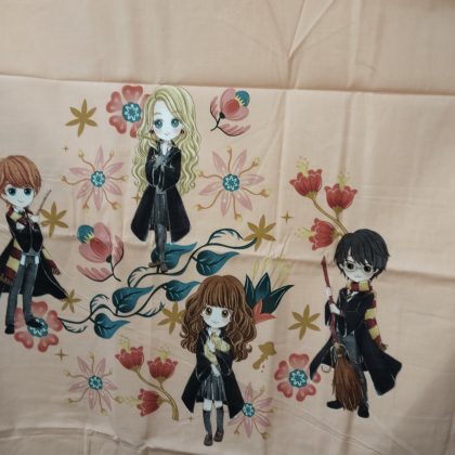 Harry Porter Carton Sheet Single bed – Assorted Design